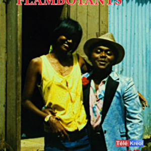DVD Les Flamboyants